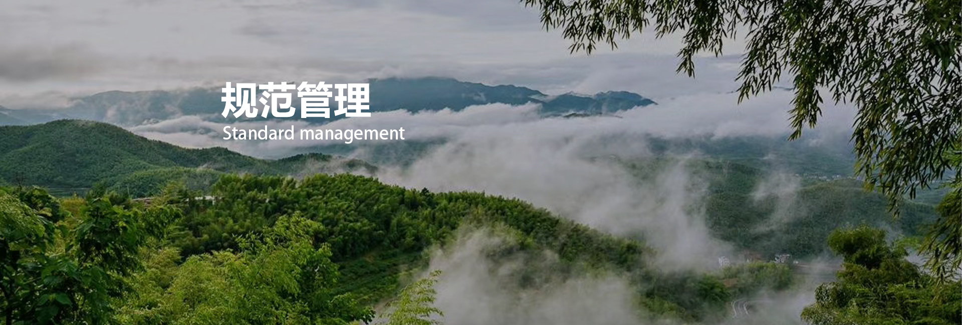 ���ſ�3��(�й���)�ٷ���վ